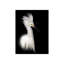 Egret Study B Print by Zoey Riley-26936813-26936812