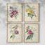 «Antique Garden Bouquet I», ensemble de 4-1954995951-1954995950