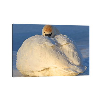 Staying Warm by Brian Wolf - Wrapped Canvas Print
