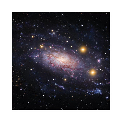 Spiral Galaxy In The Hydra Constellation (NGC 3621) by Robert Gendler - Wrapped Canvas Gallery-Wrapped Canvas Giclée