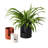 Patti Handmade Ceramic Pot Planter-708165345-708165350