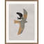 Night Bird 3 Print by Nathan Turner