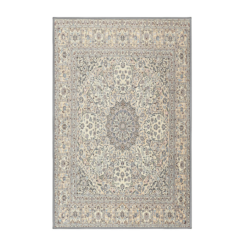 Nojus Oriental Indoor Rug, Rectangle 7' x 9'