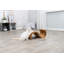 Grattoir pour chat