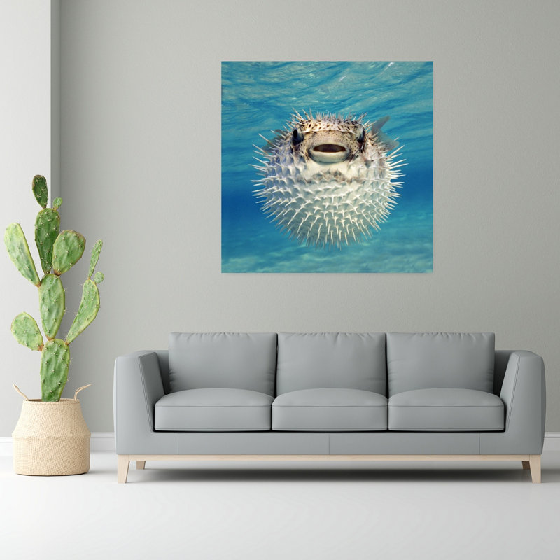 Gros plan sur un poisson-globe, art contemporain des Bahamas, H 48 po x l 48 po