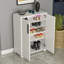 Baneen 8 Pair Shoe Storage Cabinet