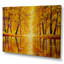 «River In A Sunny Forest», reproduction sur toile flottante-676344752-676344761