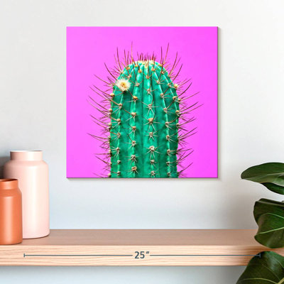 Cactus Harnek