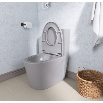 1.1/1.6 GPF Dual Flush Toilet, Comfort Height Elongated One Piece, Soft Close 1000g Map Flushing, Water Saving Floor Mounted
