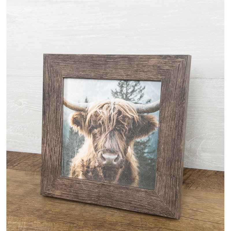Highland Cow Bétail, art encadré sur papier