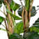 Buchanan 66" Artificial Scindapsus Aureus Tree in Planter