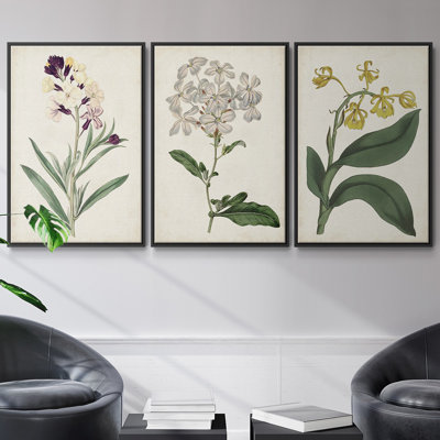 " Antique Botanical Collection VII " 3 - Pieces