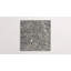 Forage 24" x 24" Matte-1907330912