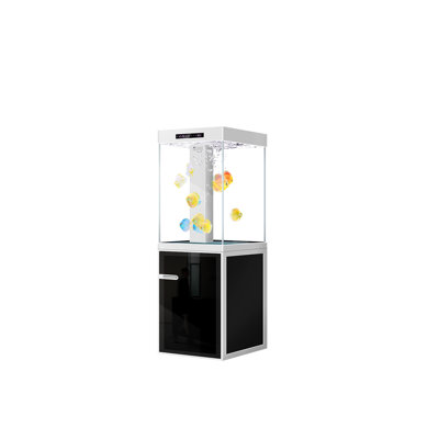 Aquarium écologique 19,69 po