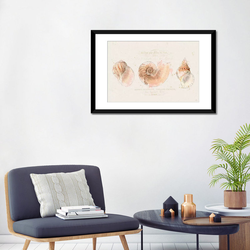 «Shell Collector I», reproduction d'impression sur toile tendue, H 16 po x l 24 po x P 1 po, Papier d'art encadré noir, Blanc