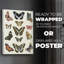 Flutterbys I - Impression sur toile seulement - NON CADRE-233309119