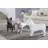 French Bulldog-49609686