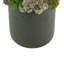 Multi Colored Sedum in Black Planter-1606536661-1606536660