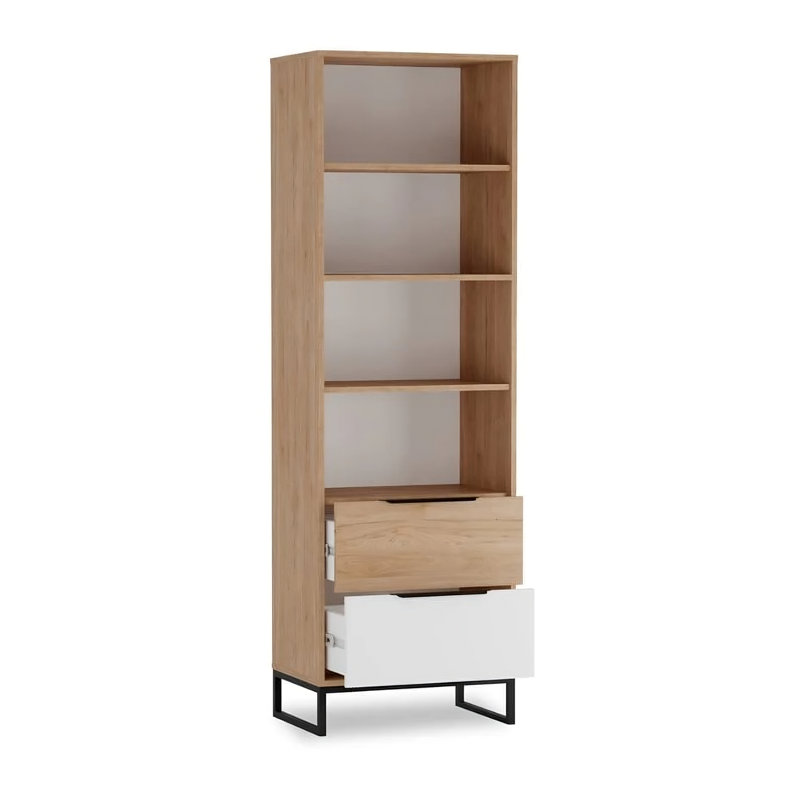 Avgerinos 135cm H x 100cm W Standard Bookcase