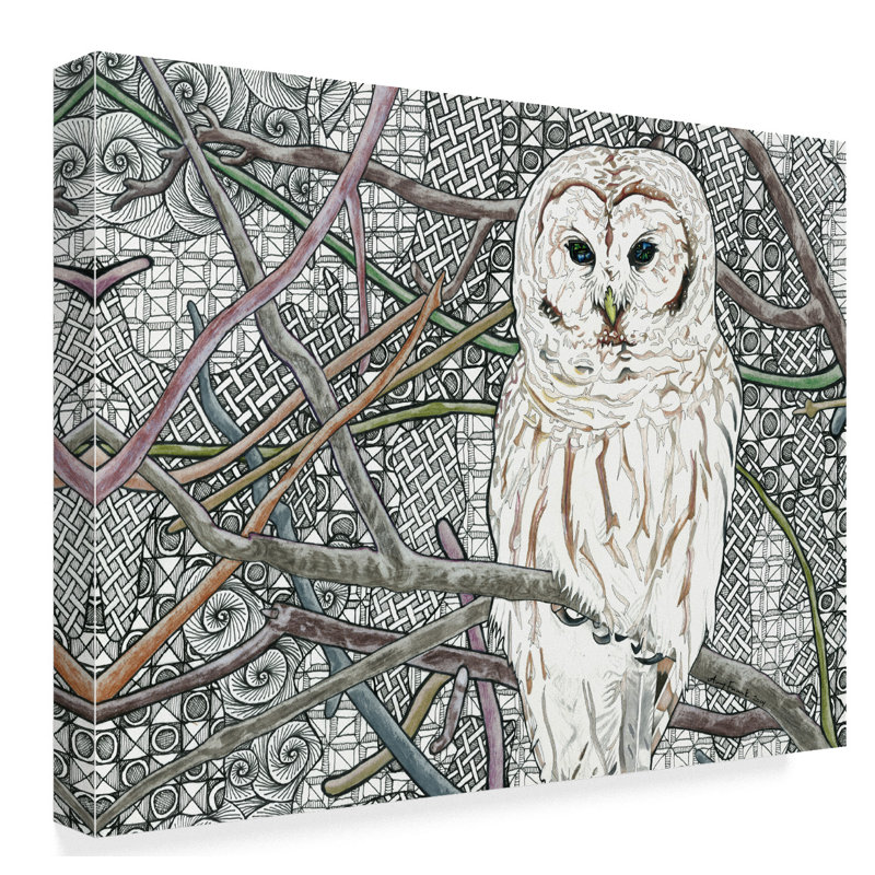 Barred Owl White Canvas Art in Modern Frame
