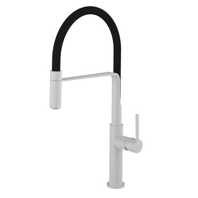 Belfry Kitchen Aurelio Pull Down Kitchen Faucet