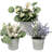 Gira Arrangement in Pot