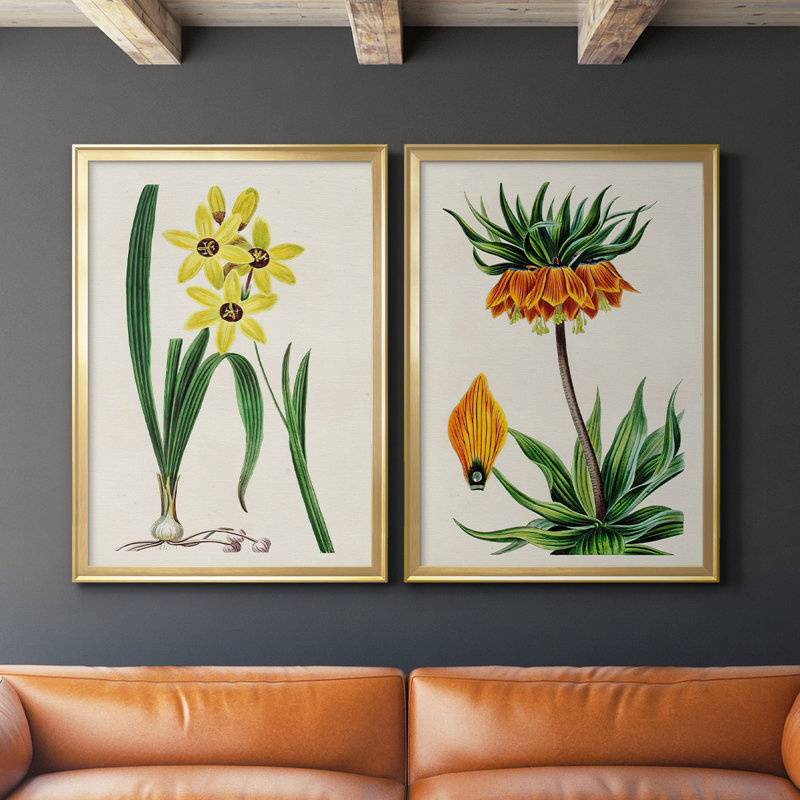 Antique Floral Folio VI - Ensemble de 2 reproductions d'art sur toile encadrées, H 41,25 po x l 61 po x P 1,25 po, Or
