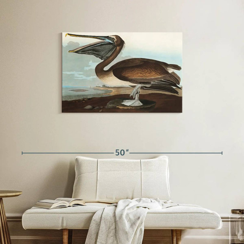Brampt Brown Pelican I, 24" H x 36" W
