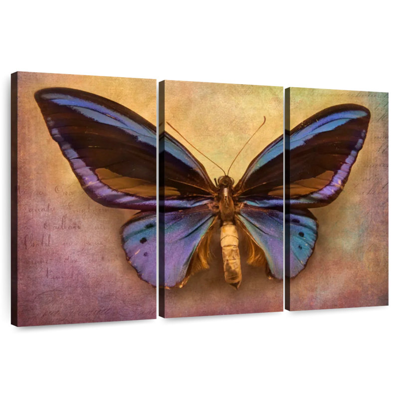 Original Butterfly, 24" H x 38" W