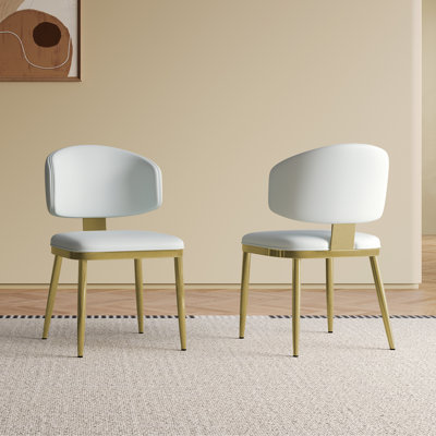 Set Of 2 Modern Design Dining Chairs