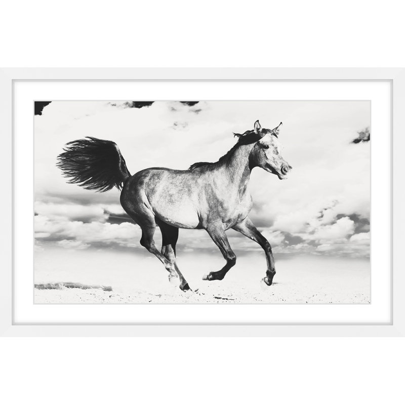 White Framed Black and White Horse Canvas Print, 18" x 12"