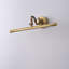 LED Wall Lighting Metal Gold Vanity Wall Sconce Light