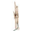 Bethlehem Star Tree Topper