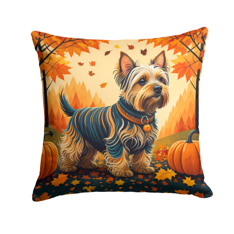 Other/No Pattern Outdoor Throw Pillow, 14" x 14"