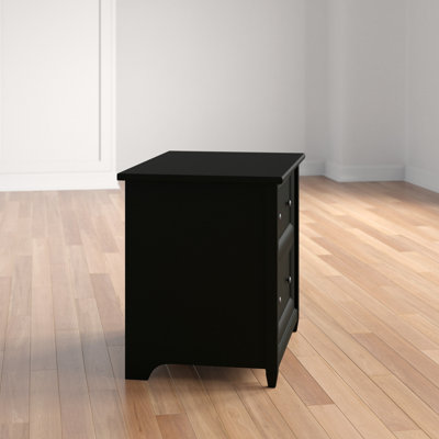 Ariza 33.3'' Wide 2 -Drawer File Cabinet