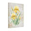 Plantes et fleurs - Iris jaune - Motif d'écriture rétro floral-1658515941