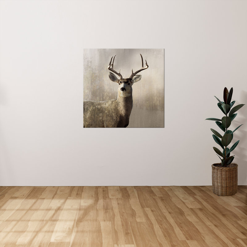 "Young Buck" par Nan, reproduction sur toile, H 28 po x l 28 po x P 1,5 po