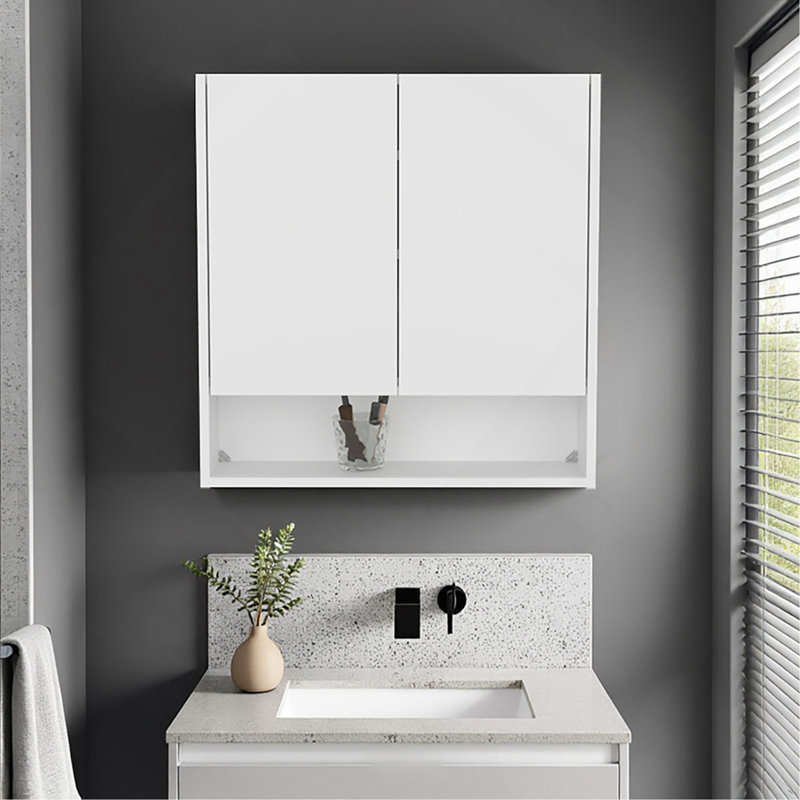 Armoire à pharmacie à double porte Hickory, idéale pour le rangement dans la salle de bain
