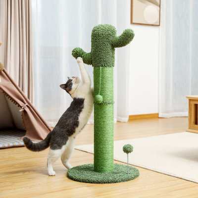 Grattoir 34 "Connard Cactus
