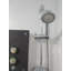Pippen Rain Handheld Shower Head