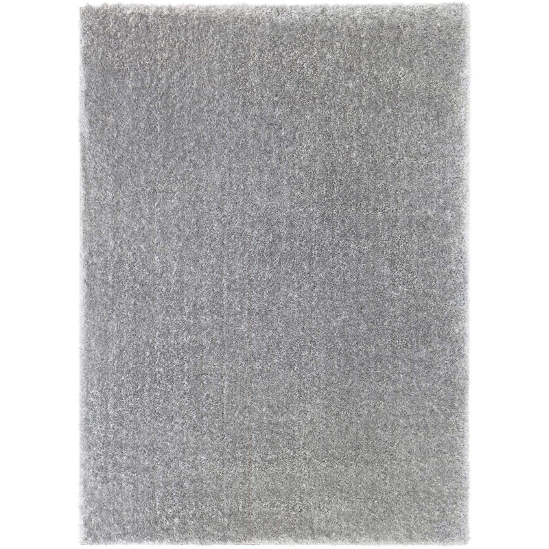 Mcclain Silver/Grey Shag Soft Area Rug, Rectangle 3'3" x 5'