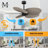 Alessandra - Five Blade Ceiling Fan-880970927-880970964