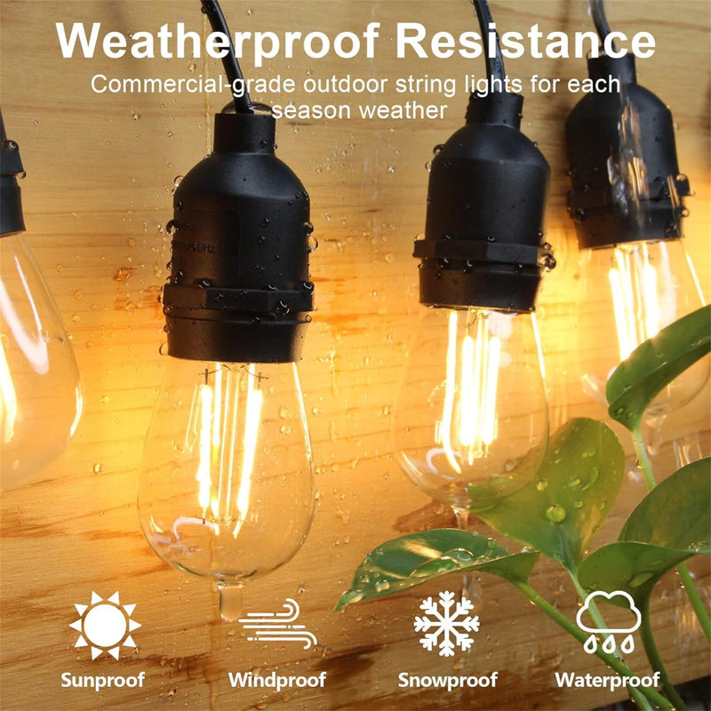 Cesara 4cm 15 - Bulb Globe String Light