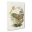 Yellow-Legged Spoonbills by Elizabeth Gould - Wrapped Canvas-55319889