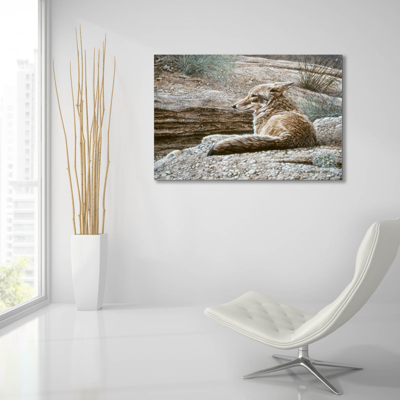 "Coyote au repos" par Ron Parker, H 24 po x l 36 po x P 0,2 po