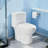 White Ceramic One-Piece Toilet - Elongated Bowl With Soft Close And Quick Release Seat