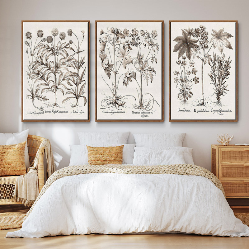 Sépia Besler Botanicals IV, ensemble de 3 toiles encadrées, Noyer, H 40 po x l 78 po