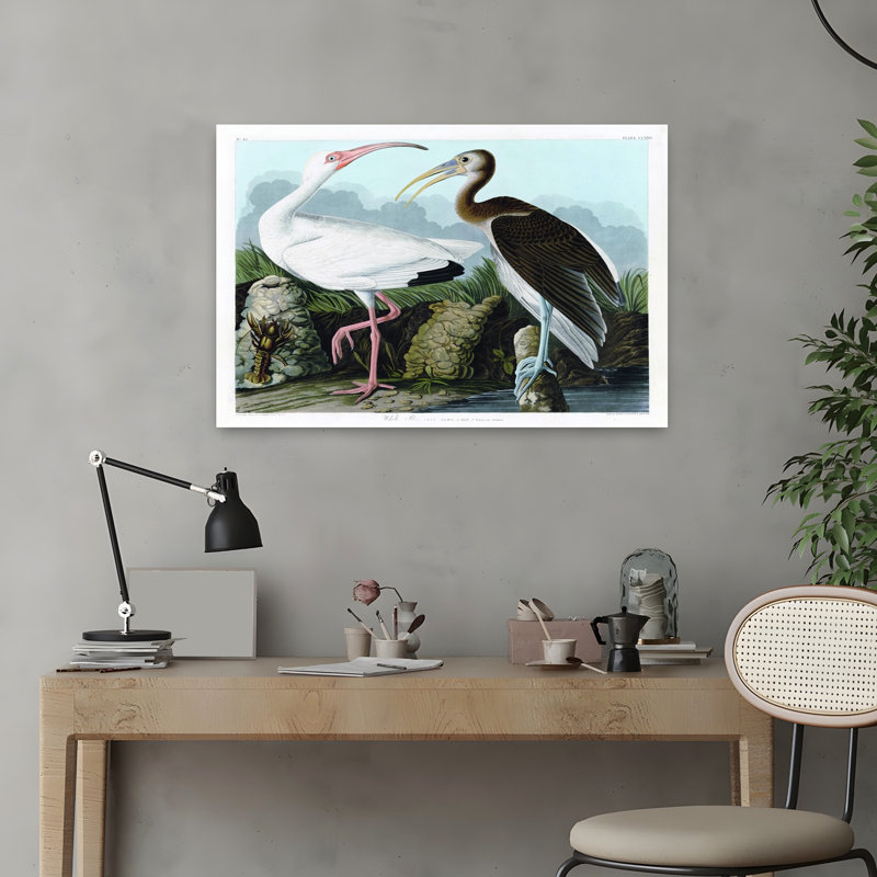 Oiseau blanc, art tropical côtier, H 16 po x l 24 po