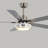 52'' Ceiling Fan with LED Lights-1490695867