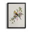 Spring Song Pine Grosbeak - Peinture sur toile encadrée-1309059384-1309059387